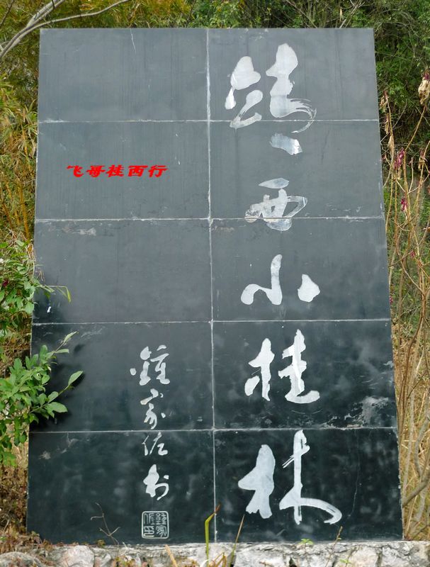 p1020162.jpg