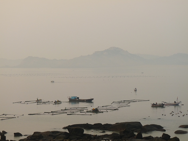 p1030837.jpg