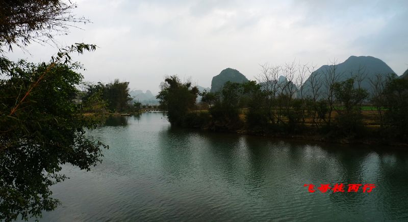p1020130.jpg