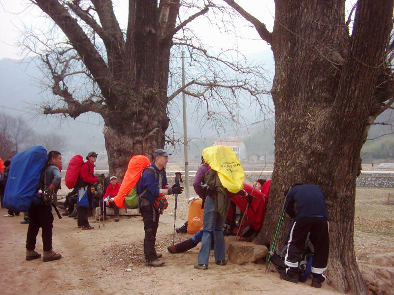 dsci0025.jpg