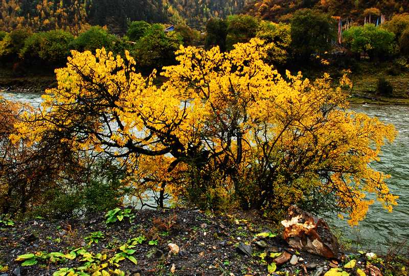 dsc_0832.jpg