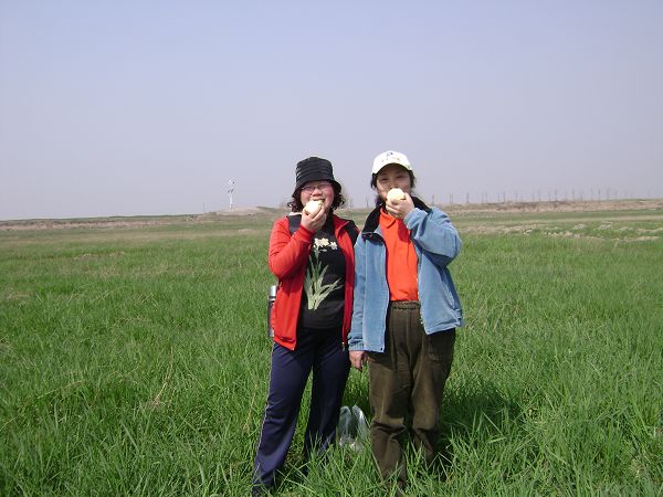 dsc08598-1.jpg