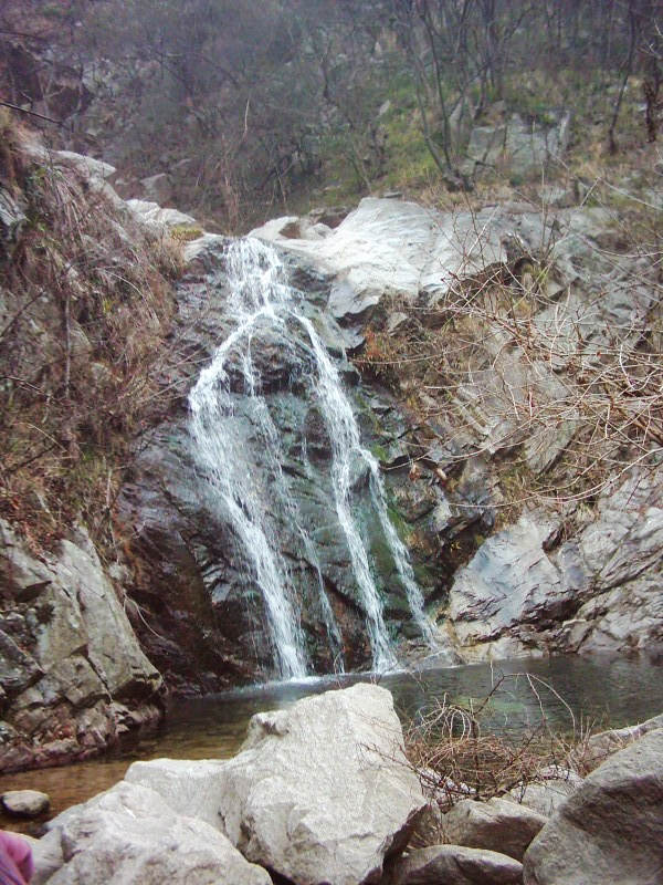 dsci0057.jpg