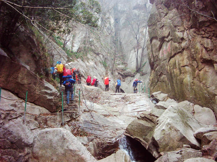 dsci0086.jpg