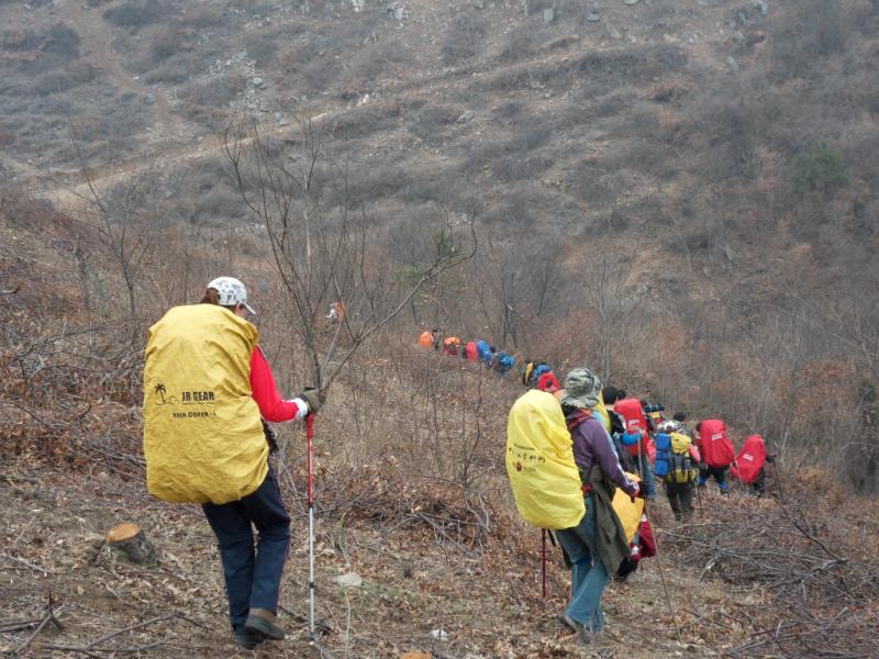 sdc10020.jpg