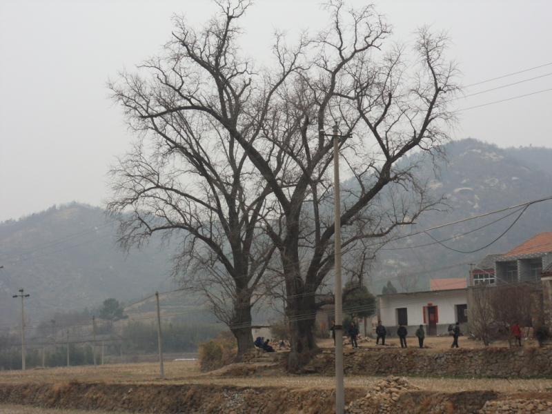 sdc10026.jpg