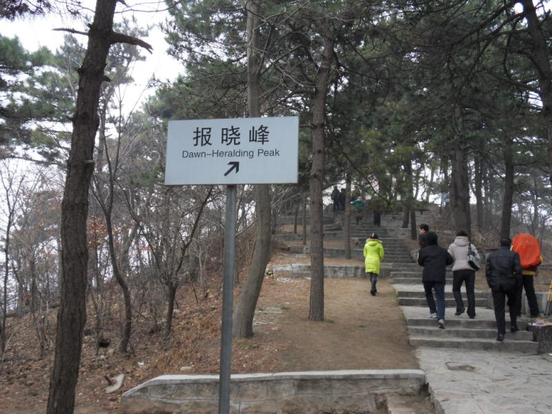 sdc10048.jpg