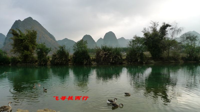 p1020119.jpg