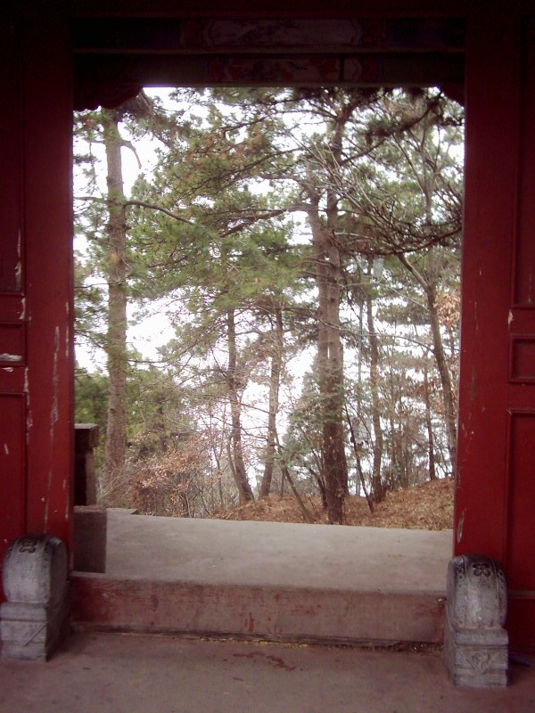 dsci0146.jpg
