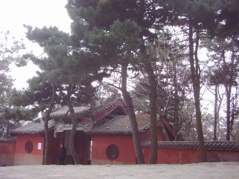 dsci0150.jpg