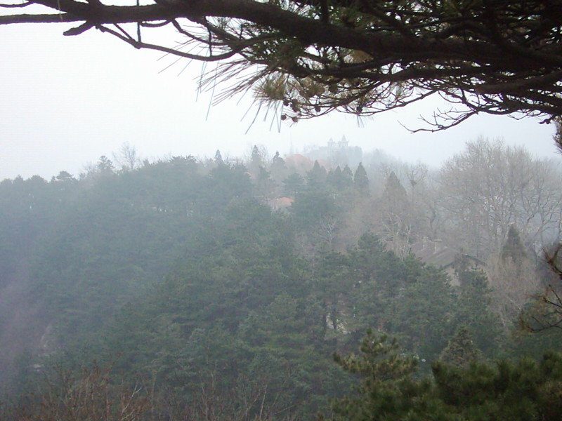 dsci0157.jpg