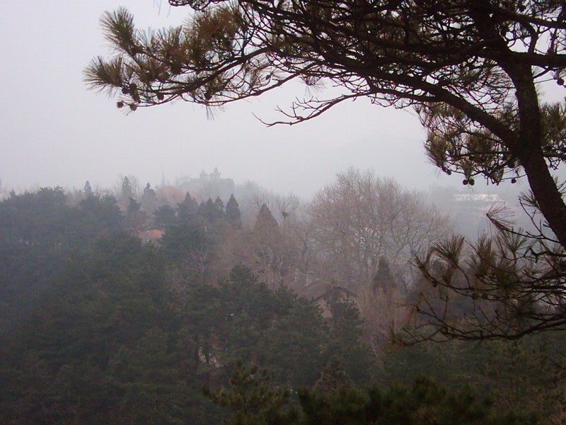 dsci0158.jpg