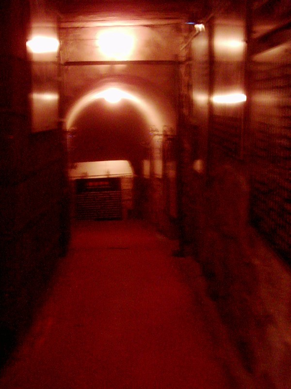 dsci0130.jpg