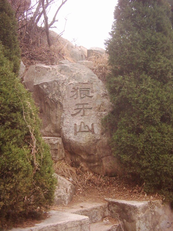 dsci0137.jpg
