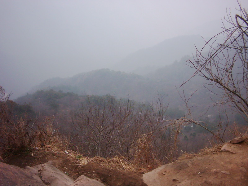 dsci0138.jpg