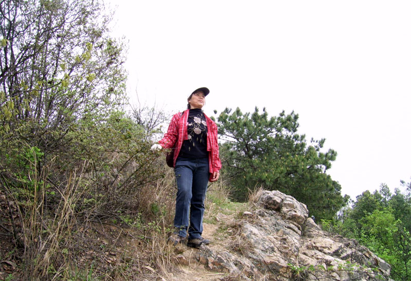 ssa40473.jpg