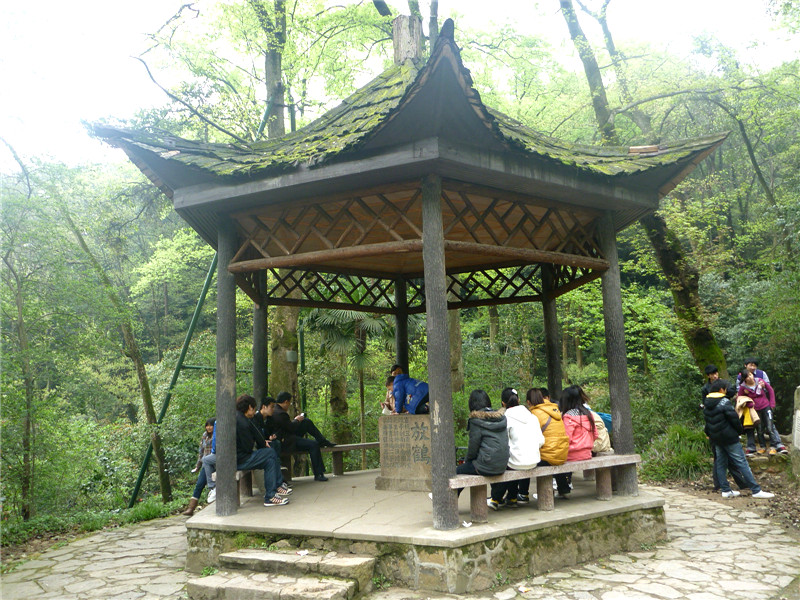 p1050344_.jpg
