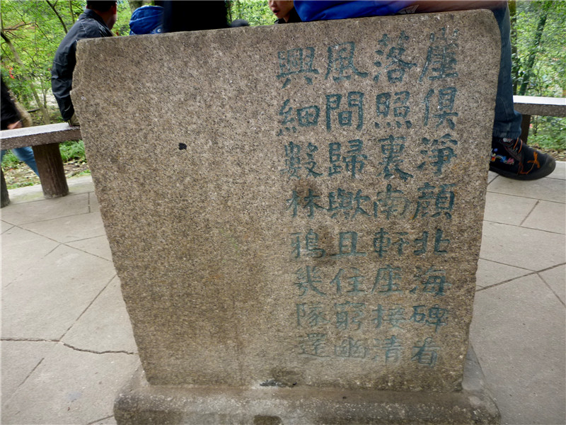 p1050339_.jpg