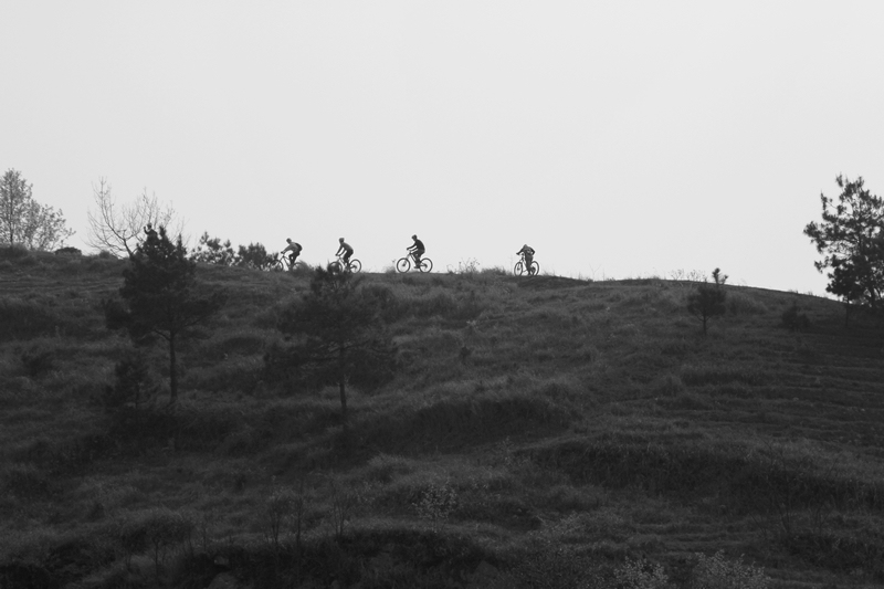 _mg_9129.jpg