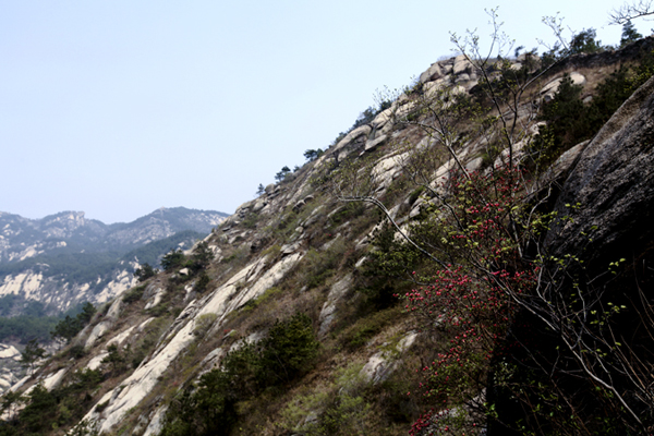 Ƭ 058_1.jpg