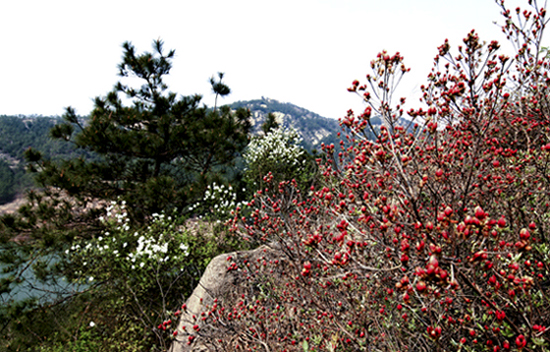 Ƭ 023_1.jpg