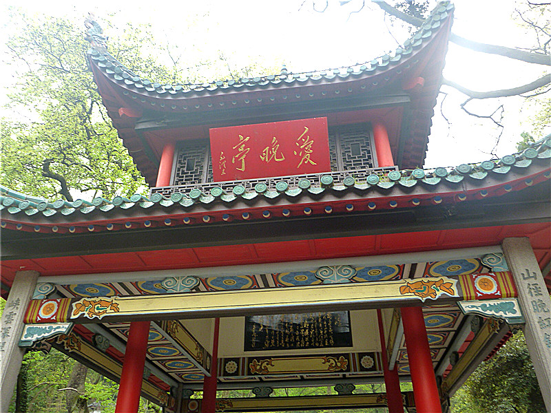 p1050364_.jpg