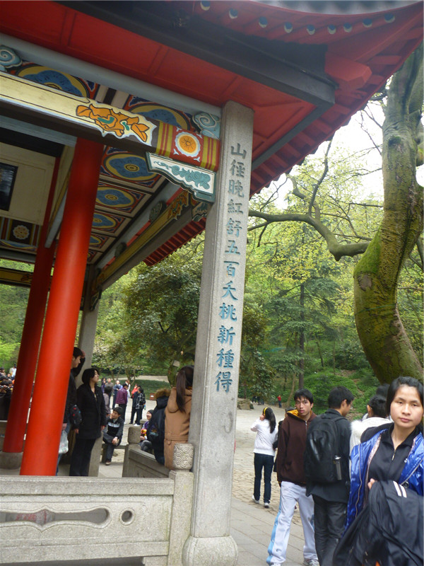 p1050363_.jpg