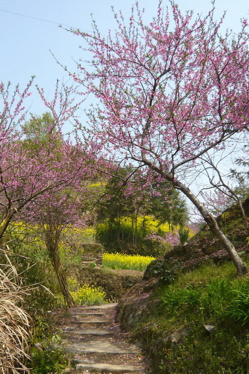 p1110076.jpg