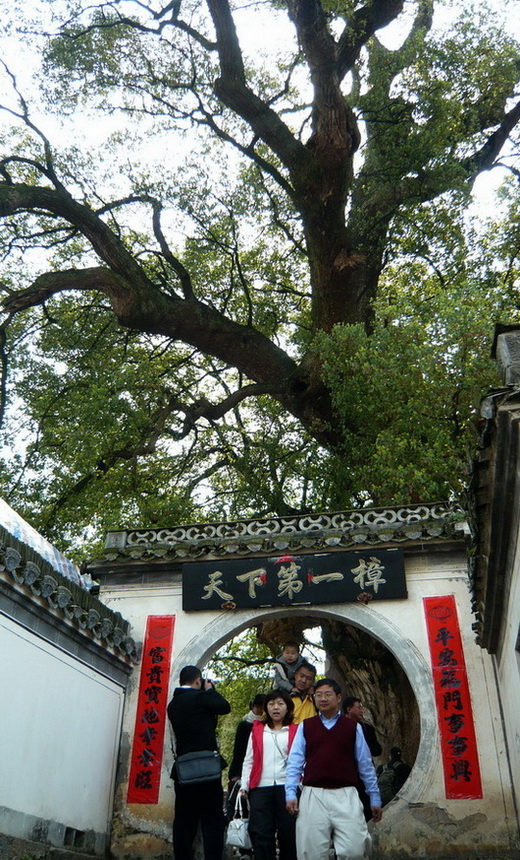 p1110050.jpg