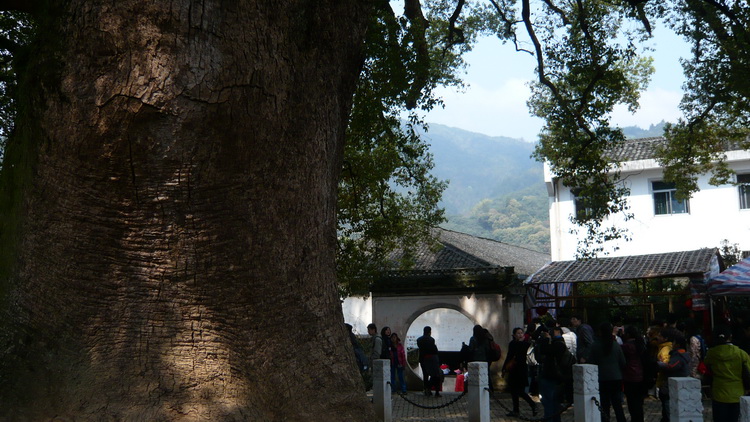 p1110056.jpg