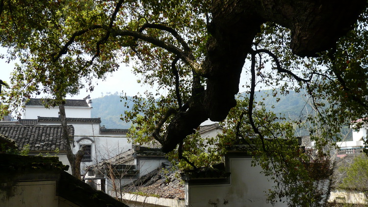 p1110066.jpg