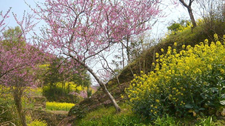 p1110077.jpg