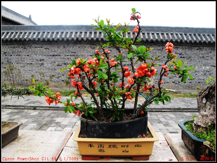 2011. 270.jpg
