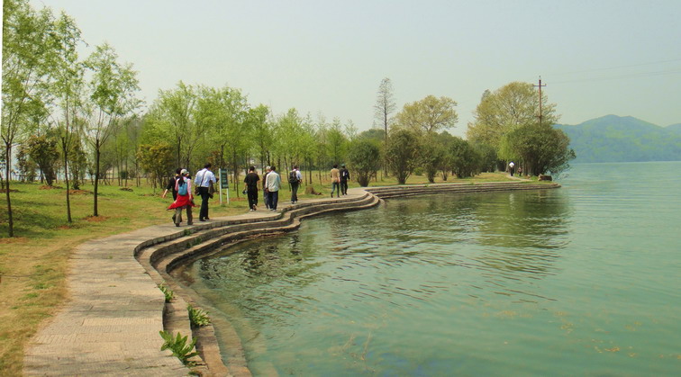 dsc06735.jpg
