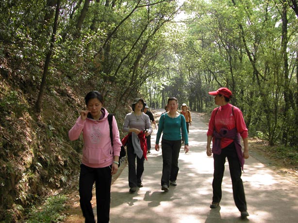 dscn5646.jpg