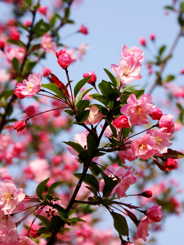 ĥɽӣ 093_conew1.jpg