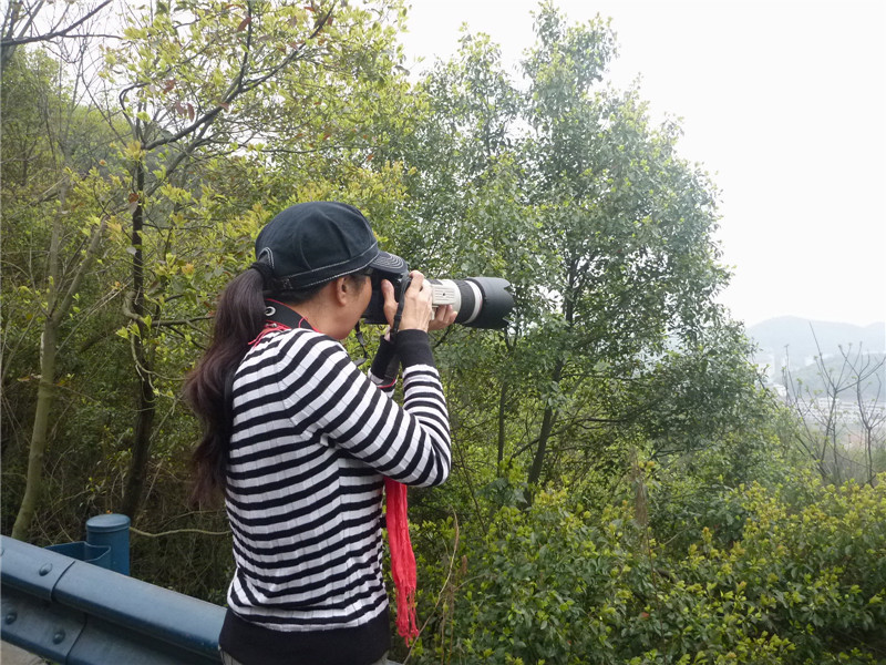 p1050323_.jpg