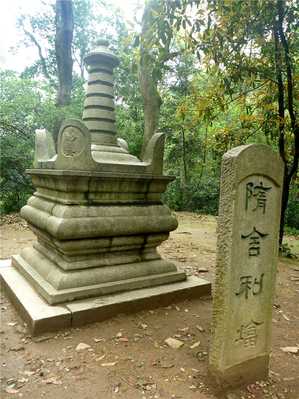 p1050338_.jpg