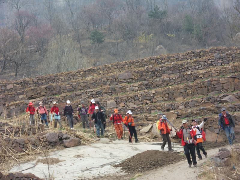 sdc10082.jpg