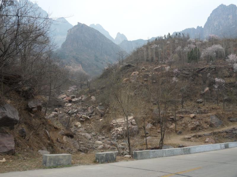 sdc10084.jpg