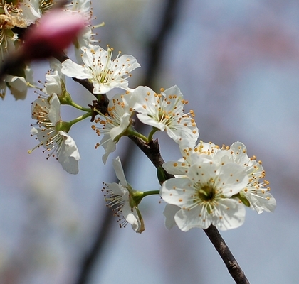 滨-2011-3-26--.jpg