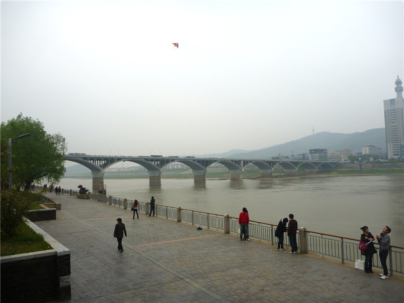 p1050389_.jpg