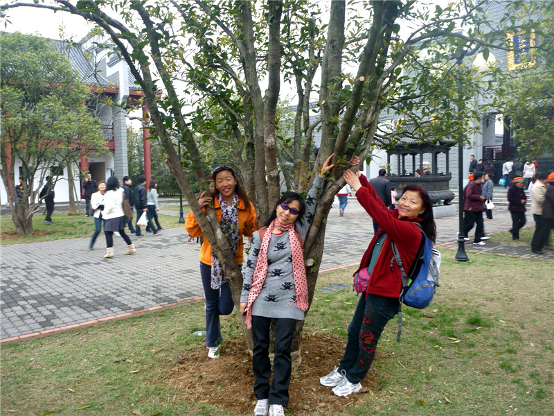 p1050395_.jpg