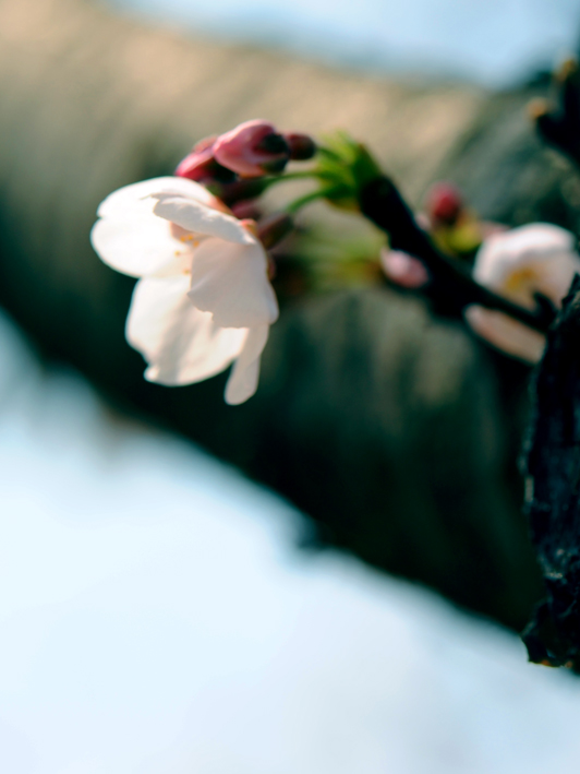 dsc_5810a.jpg