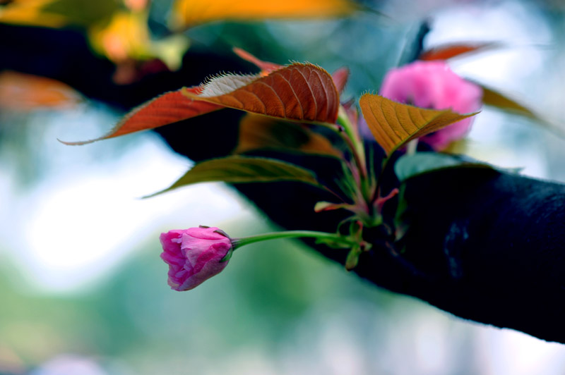 dsc_5834a.jpg