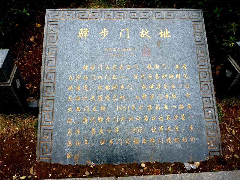 p1050402_.jpg