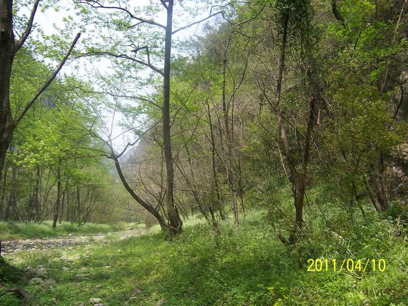 100_7088.jpg