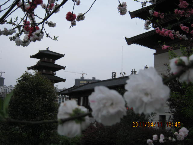 img_2122.jpg