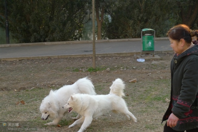 http_imgloadca9p8myg.jpg