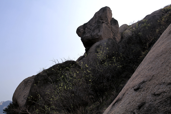 Ƭ 074-1.jpg